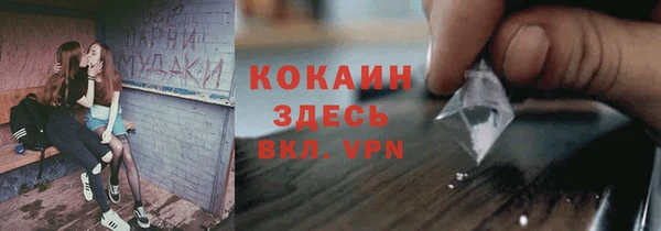 apvp Чекалин