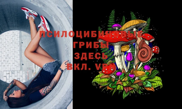 apvp Чекалин