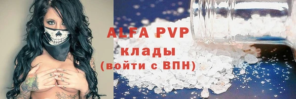 индика Фурманов