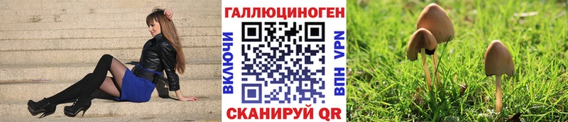 наркотики  Каменск-Уральский  Галлюциногенные грибы прущие грибы 