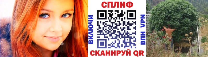 где продают наркотики  mega вход  Бошки Шишки ГИДРОПОН  Каменск-Уральский 